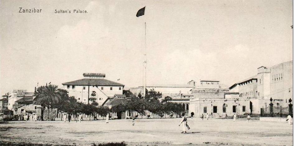 Picture 4. View of the old palace from Forodhani.